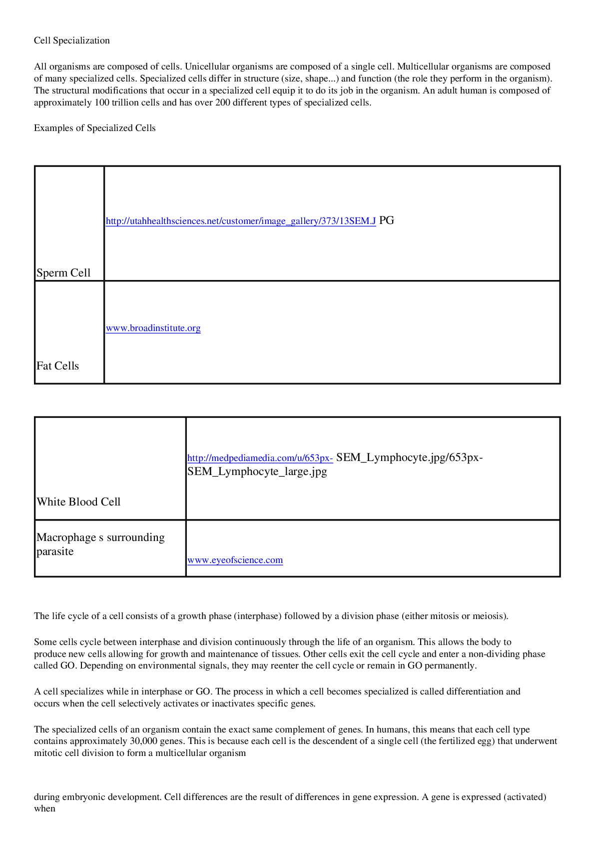 Preview image for Cell Specialization Lecture notes